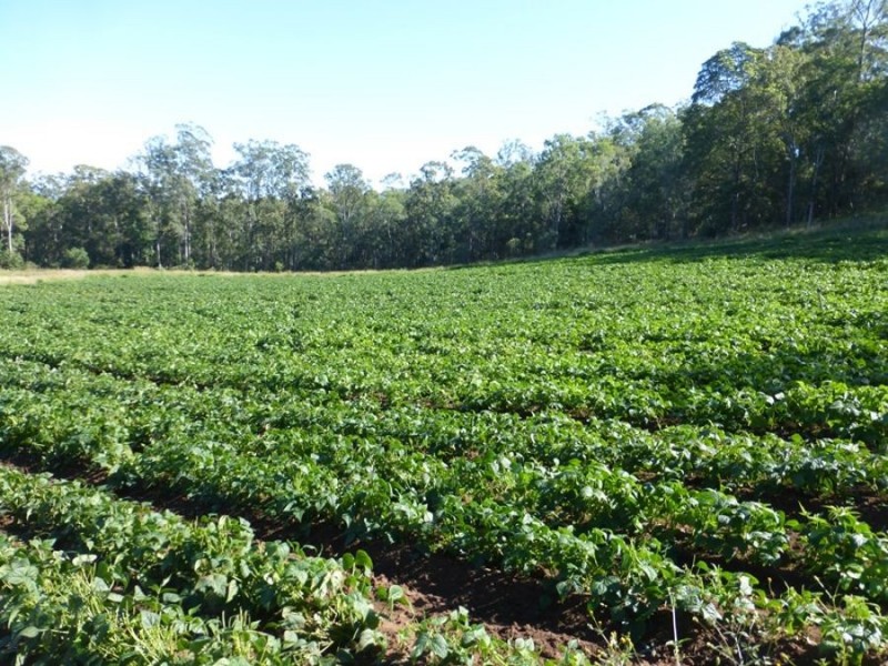 Bells Bridge QLD 4570