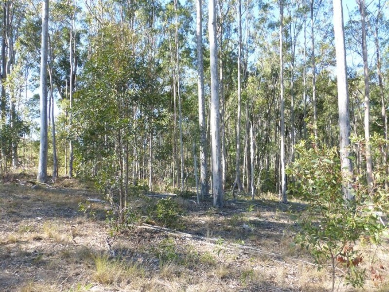 Bells Bridge QLD 4570