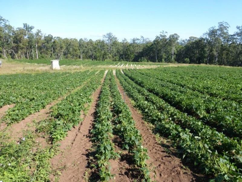 Bells Bridge QLD 4570