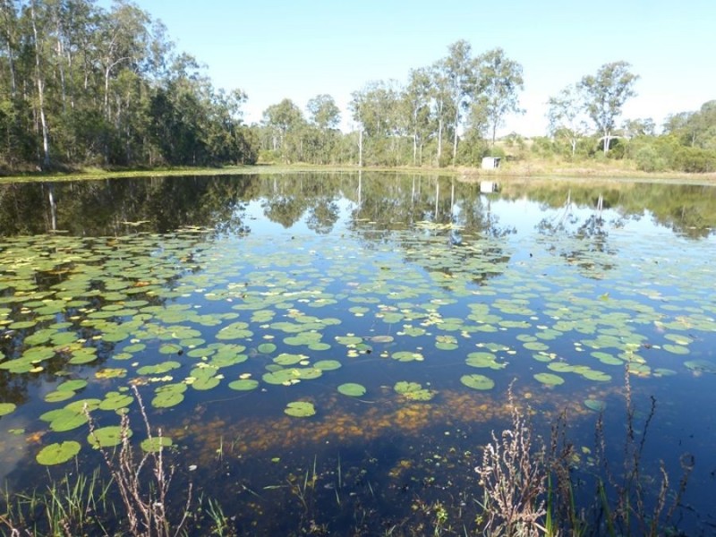 Bells Bridge QLD 4570