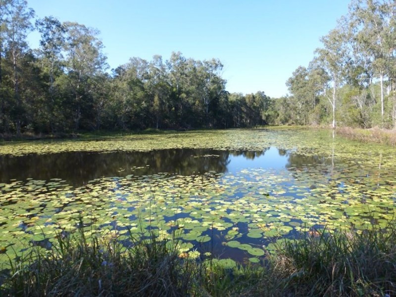 Bells Bridge QLD 4570