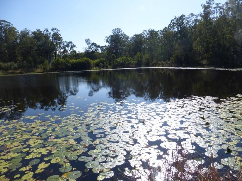Bells Bridge QLD 4570