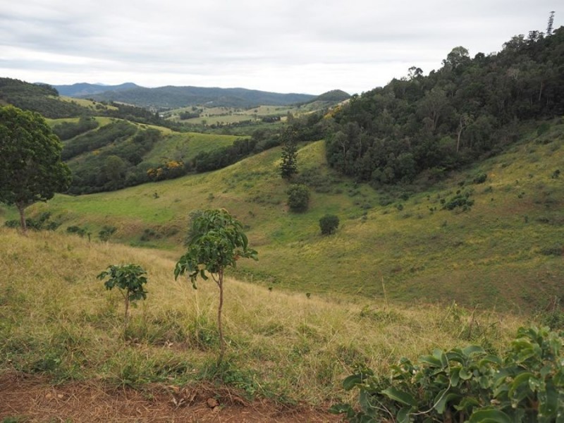 Lot 10 & Lot 11 Cross Road, Marys Creek QLD 4570