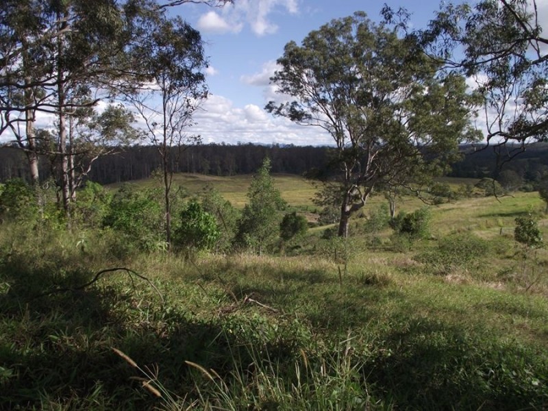 242 Gardner Road, North Deep Creek QLD 4570