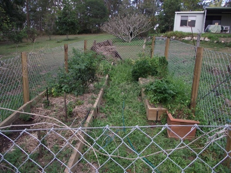 1718 Anderleigh Road, Anderleigh QLD 4570
