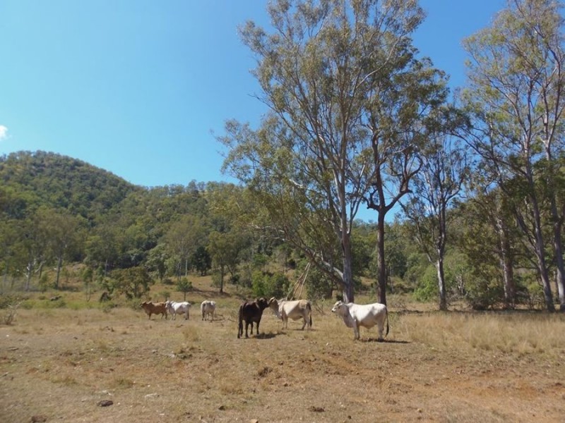 Woolooga QLD 4570