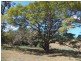 Woolooga QLD 4570