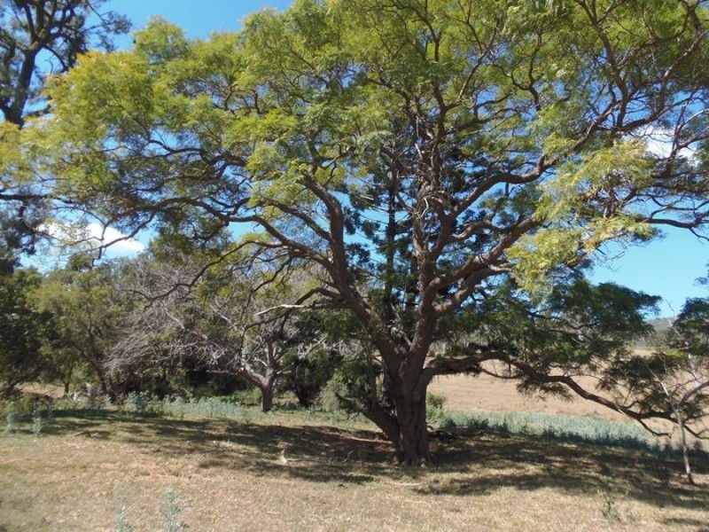 Woolooga QLD 4570