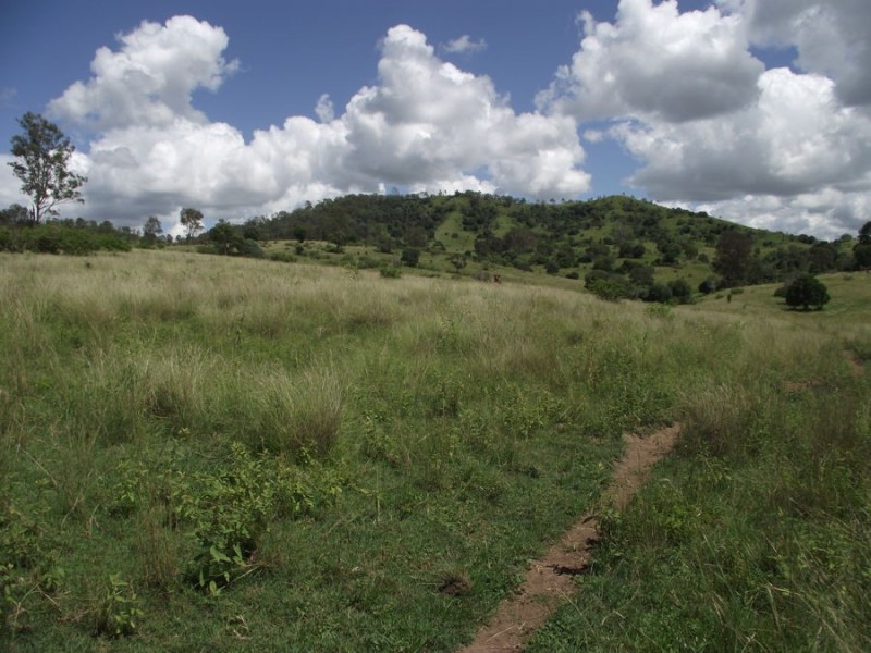 1580 Woolooga Road, Glastonbury QLD 4570