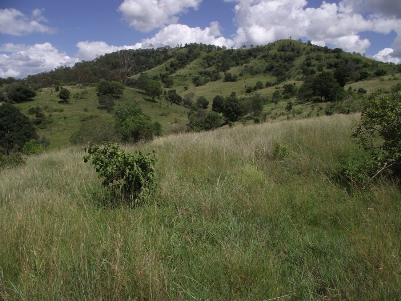 1580 Woolooga Road, Glastonbury QLD 4570