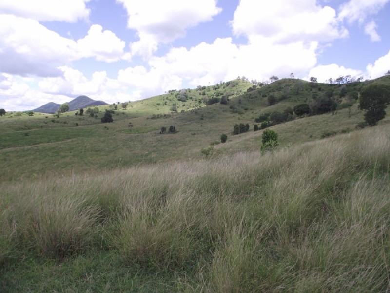 1580 Woolooga Road, Glastonbury QLD 4570