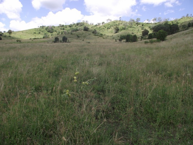 1580 Woolooga Road, Glastonbury QLD 4570