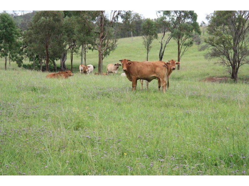 L147 Wide Bay Highway, Cinnabar QLD 4600