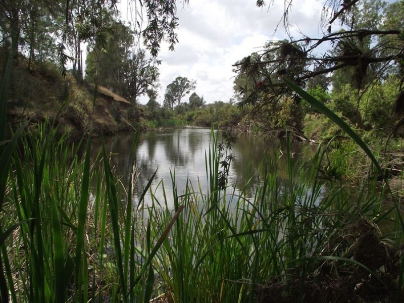 50 Clune Road, Kilkivan QLD 4600