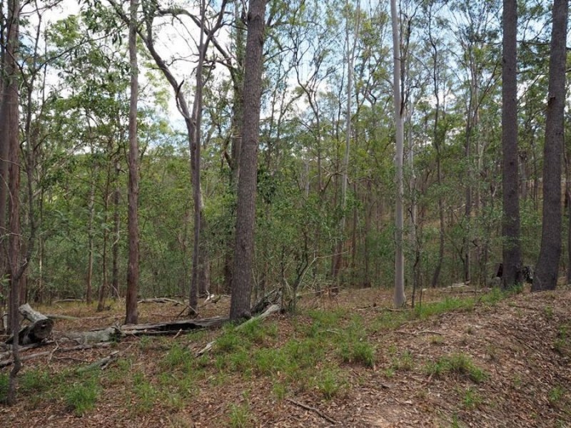L127 Erins Knob Road, Neerdie QLD 4570