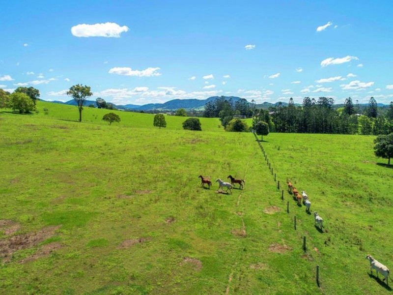 Lot 1 Zerner Road, Pie Creek QLD 4570