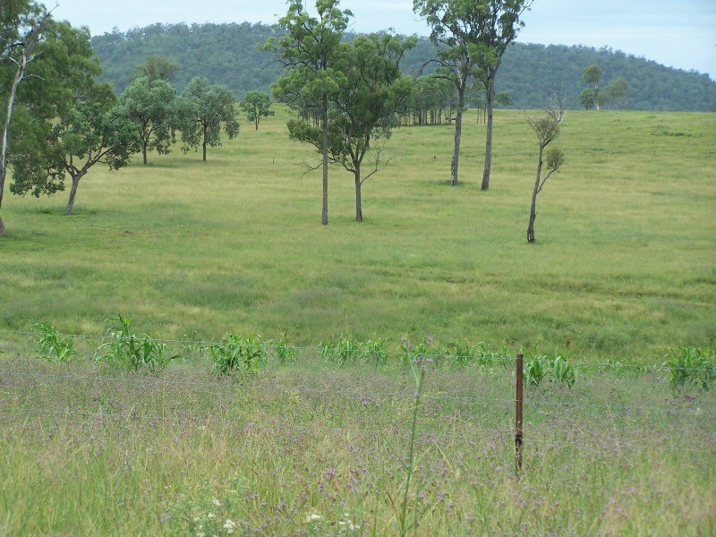 Nanango QLD 4615