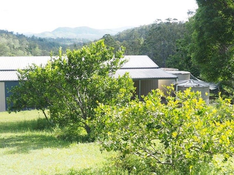 197 Fishermans Pocket Number One Road, Chatsworth QLD 4570