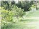 197 Fishermans Pocket Number One Road, Chatsworth QLD 4570