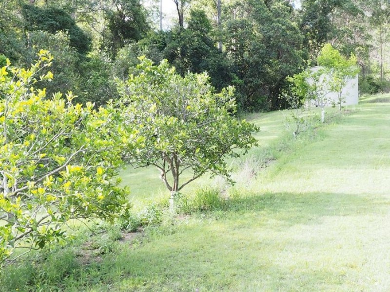 197 Fishermans Pocket Number One Road, Chatsworth QLD 4570