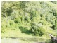 197 Fishermans Pocket Number One Road, Chatsworth QLD 4570
