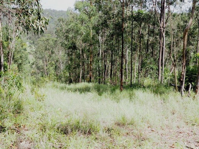 197 Fishermans Pocket Number One Road, Chatsworth QLD 4570