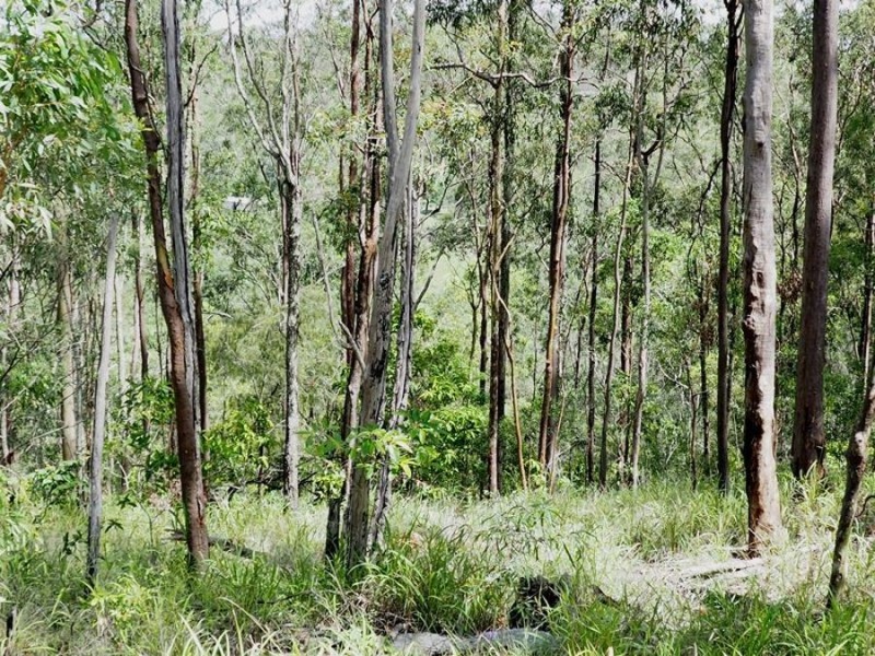 197 Fishermans Pocket Number One Road, Chatsworth QLD 4570