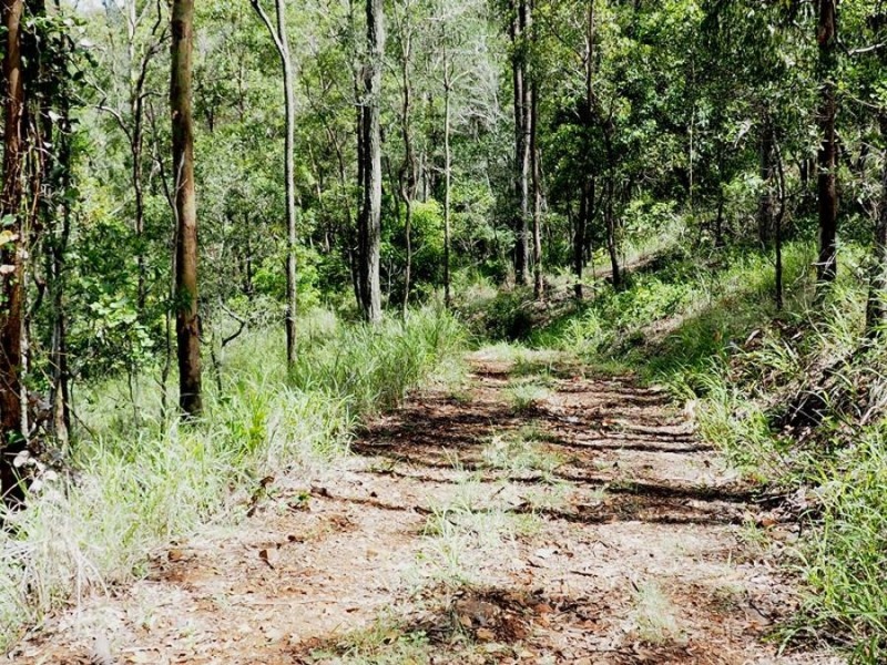 197 Fishermans Pocket Number One Road, Chatsworth QLD 4570
