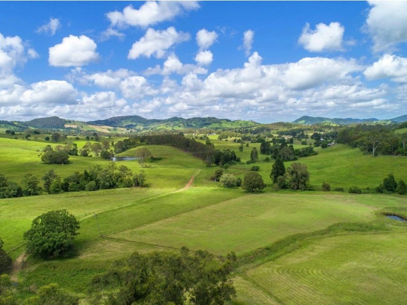 12 Paling Road, Calico Creek QLD 4570