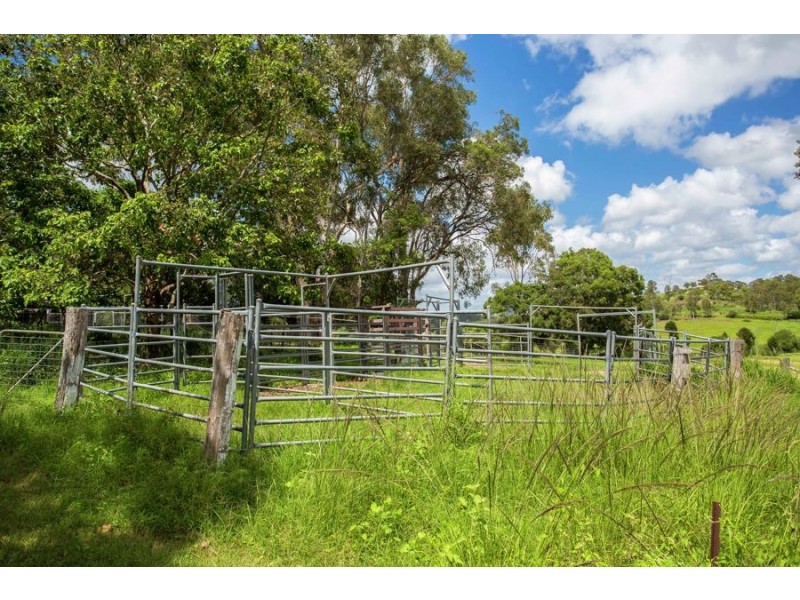 12 Paling Road, Calico Creek QLD 4570