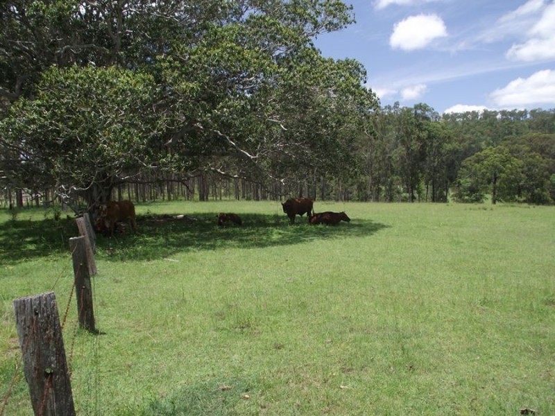 220 Wards Road, Glenwood QLD 4570