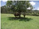 220 Wards Road, Glenwood QLD 4570