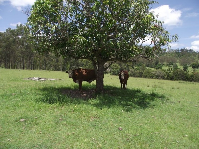 220 Wards Road, Glenwood QLD 4570