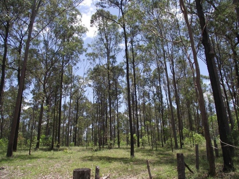 220 Wards Road, Glenwood QLD 4570