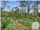 99 Lynne Drive, Curra QLD 4570