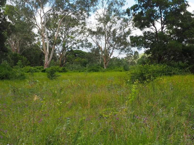 34 Groggy Road, Widgee QLD 4570