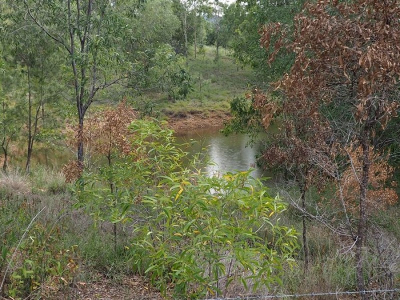 34 Groggy Road, Widgee QLD 4570