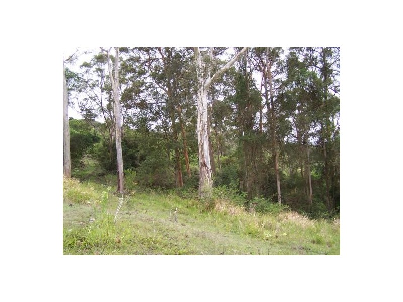 Wolvi QLD 4570