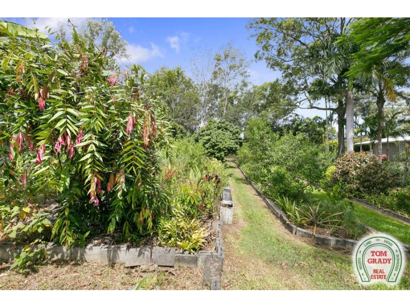 Lot 70 15 Queen Street, Cooran QLD 4569