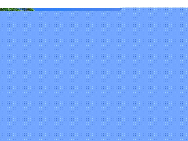 116 Green Trees Rd, Pie Creek QLD 4570