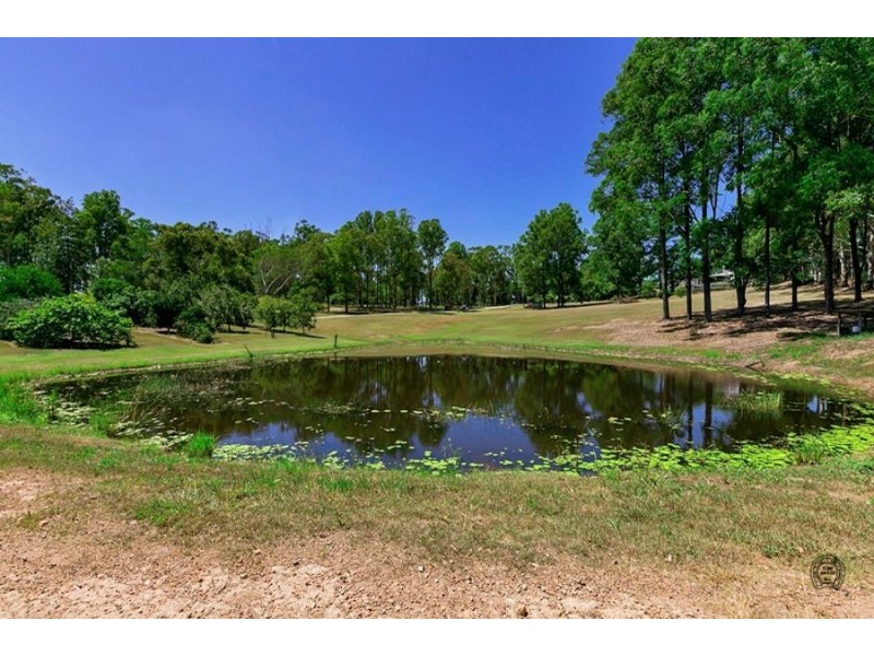 116 Green Trees Rd, Pie Creek QLD 4570