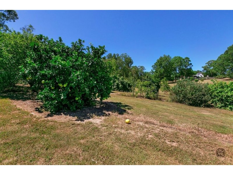 116 Green Trees Rd, Pie Creek QLD 4570