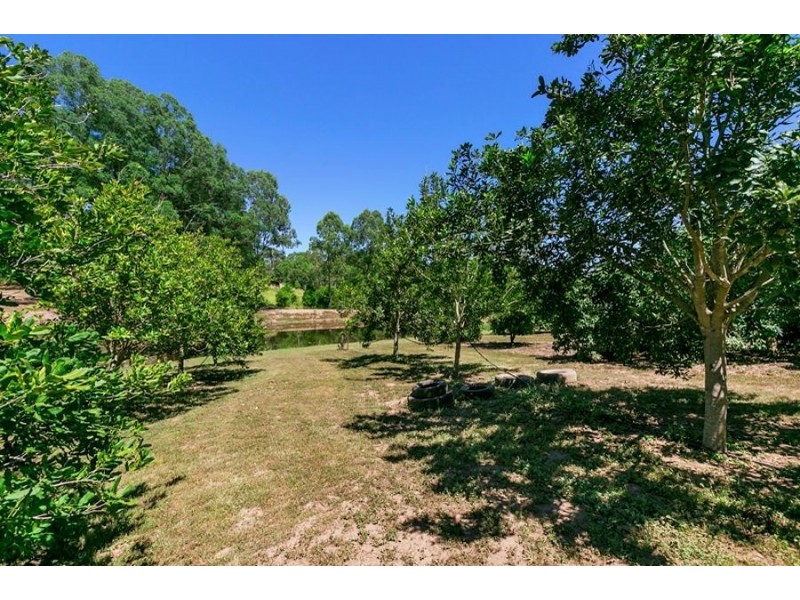 116 Green Trees Rd, Pie Creek QLD 4570