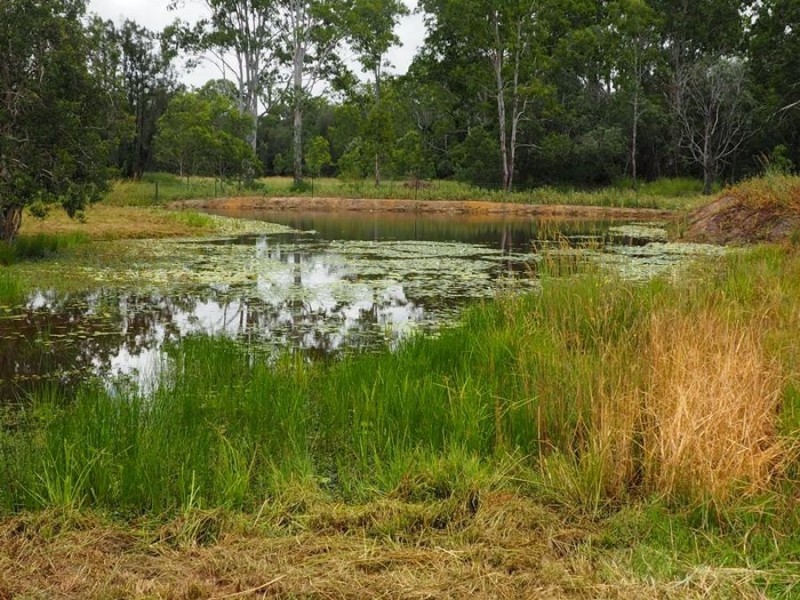 132 Settlement Raod, Curra QLD 4570