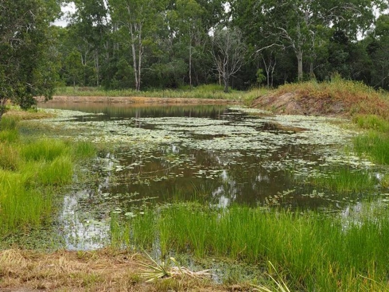 132 Settlement Raod, Curra QLD 4570