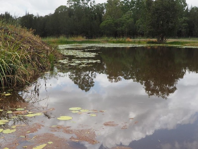 132 Settlement Raod, Curra QLD 4570