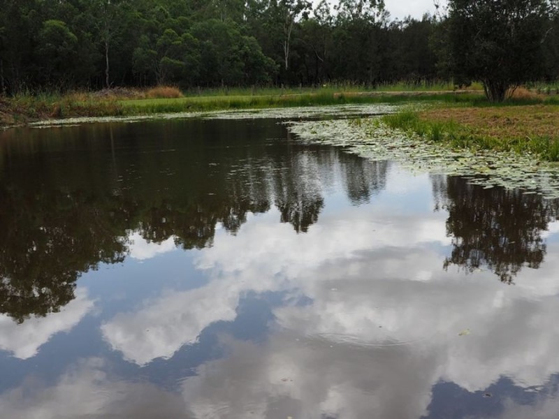 132 Settlement Raod, Curra QLD 4570