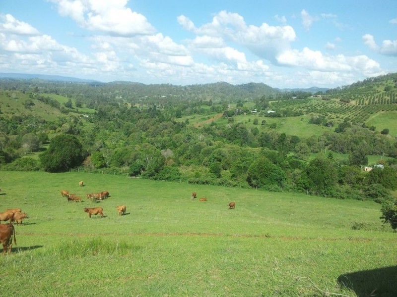 400 Mary’s Creek Road, Marys Creek QLD 4570
