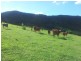 400 Mary’s Creek Road, Marys Creek QLD 4570