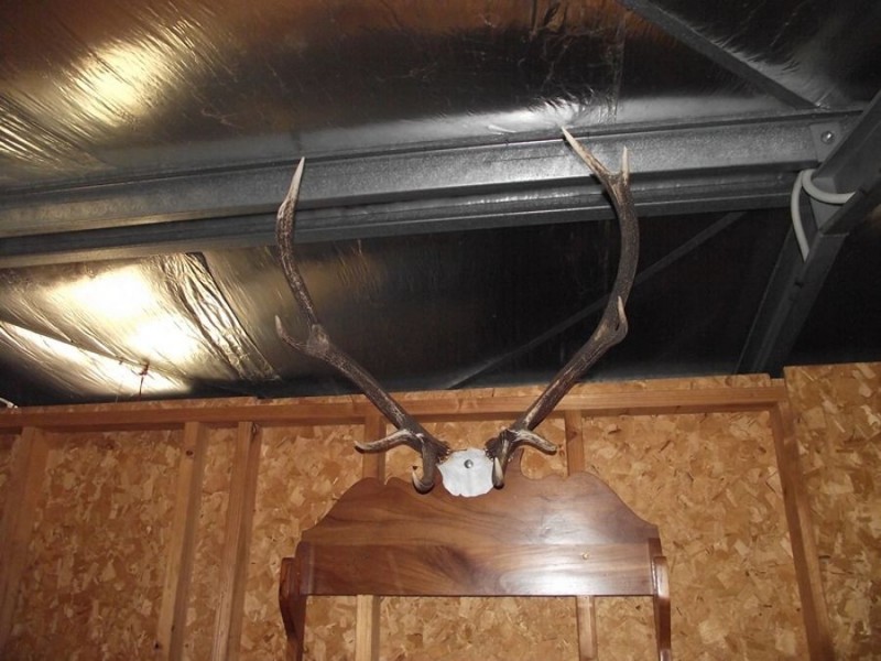 Oakey Creek Road, Cinnabar QLD 4600